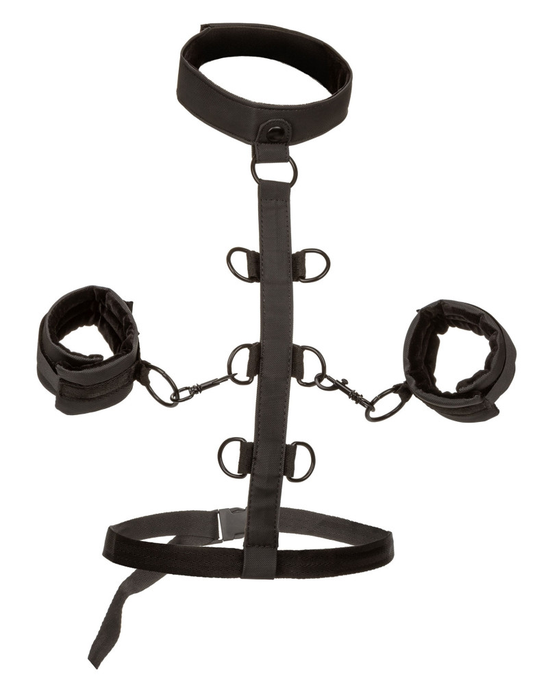 Attaches Sm Collar Body Restraint Boundless 
