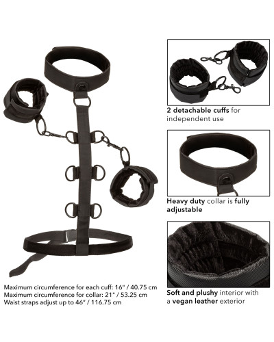Attaches Sm Collar Body Restraint Boundless 