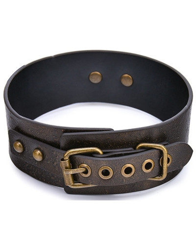 Collier-Laisse Vintagy 