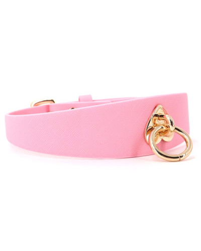 Collier-Laisse Barbing 