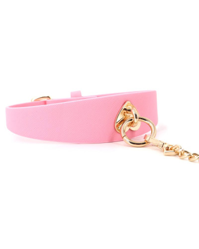 Collier-Laisse Barbing 