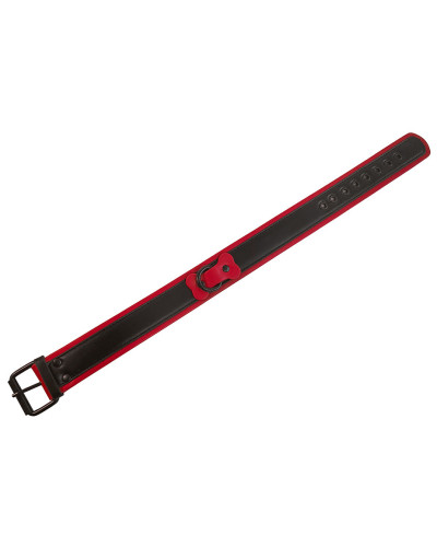 Collier Puppy Collar Noir-Rouge 