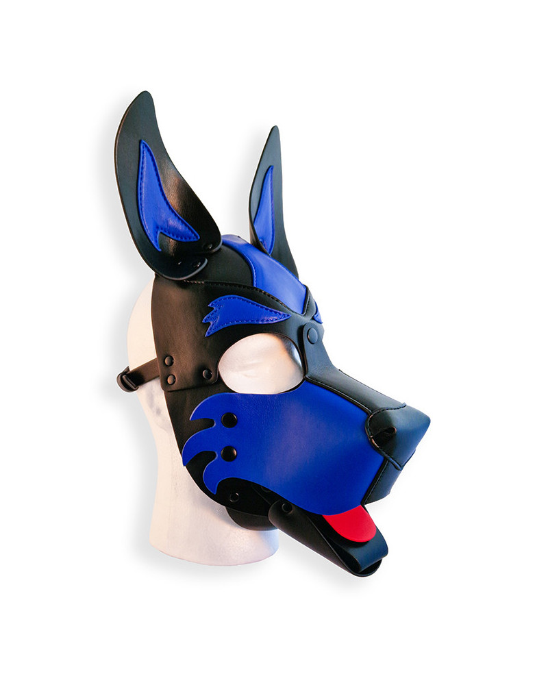 Cagoule Puppy Hood Noire et Bleue 
