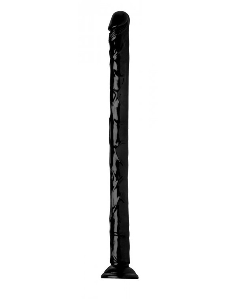 Gode Colon REALISTIC HOSE 48 x 4 cm 