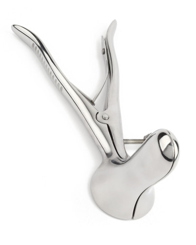 Speculum 