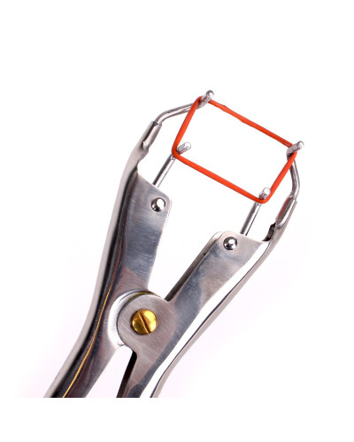 Pince pour élastiques de torture 