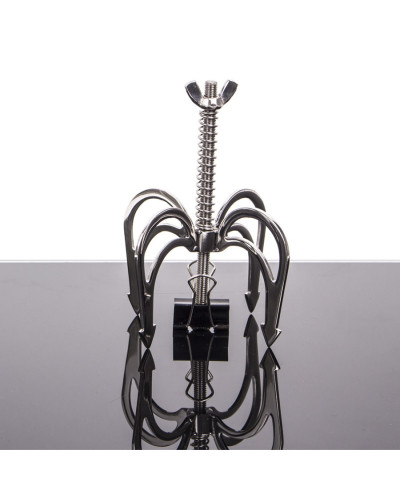 Griffes de dragon pour téton 
