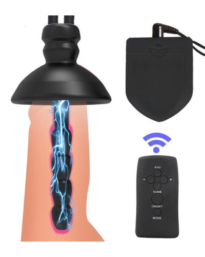 Kit Plugs Anus + Penis Electro 