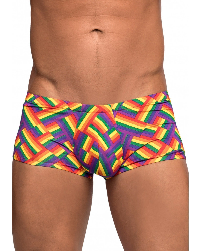Boxer PRIDE FEST 