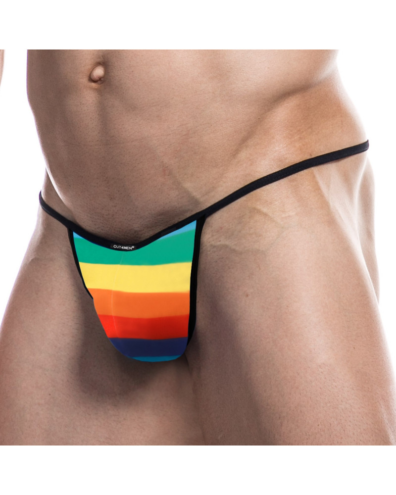 Slip sexy Briefkini Rainbow 