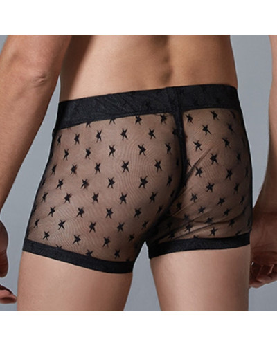 Boxer long fin Star Allure Noir  Couleur principale:Noir
