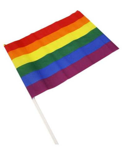 Drapeau Rainbow avec manche 30 x 43cm 