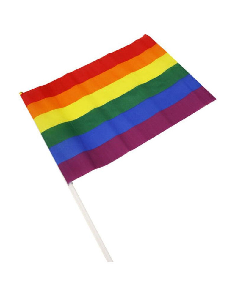 Drapeau Rainbow avec manche 30 x 43cm 