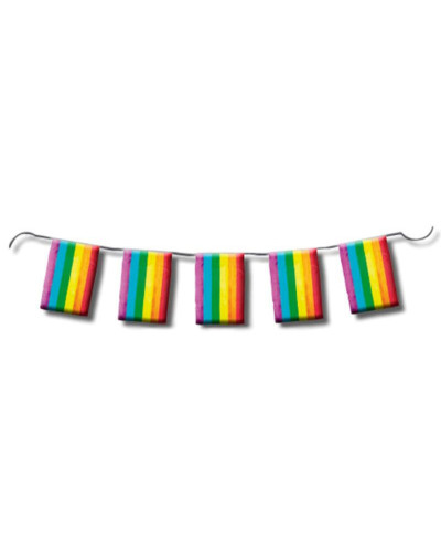 Guirlande à fanions Rainbow 10m 