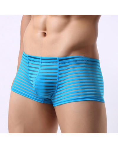 Boxer sexy Linea Bleu  Couleur principale:Bleu