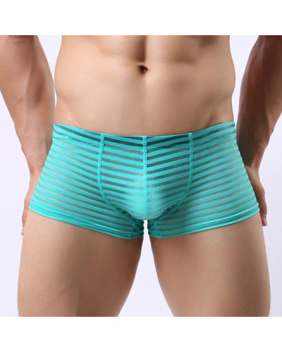 Boxer sexy Linea Vert turquoise  Couleur principale:Bleu