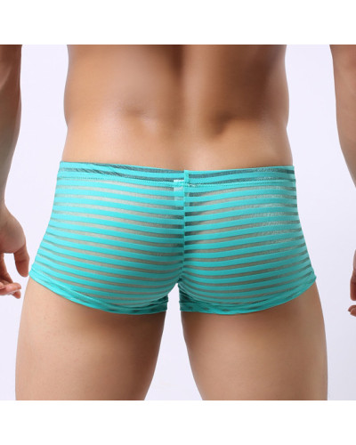 Boxer sexy Linea Vert turquoise  Couleur principale:Bleu