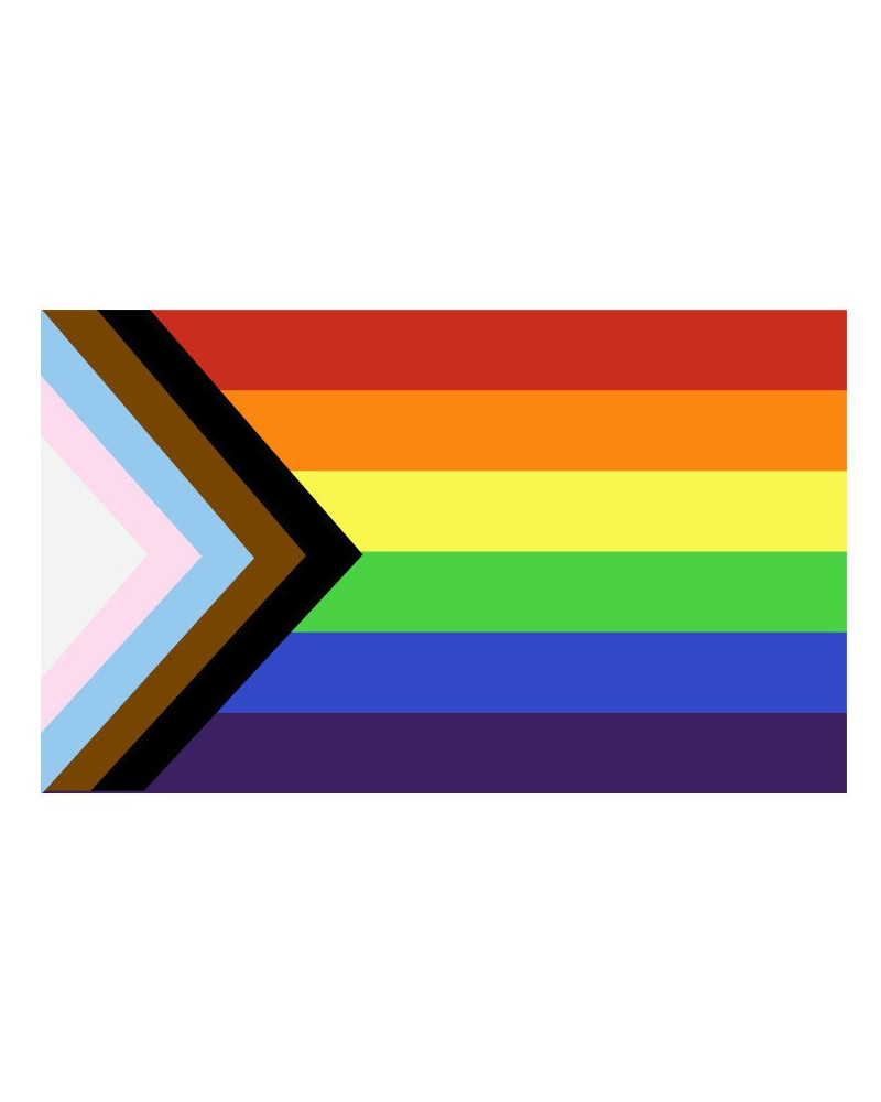 Drapeau LGBT+ 60 x 90cm 