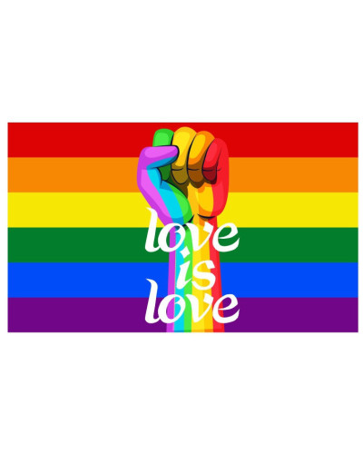 Drapeau Rainbow Love is Love 60 x 90cm 