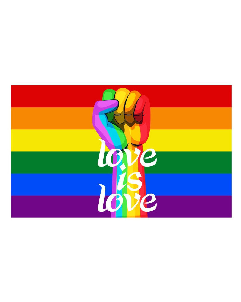Drapeau Rainbow Love is Love 60 x 90cm 