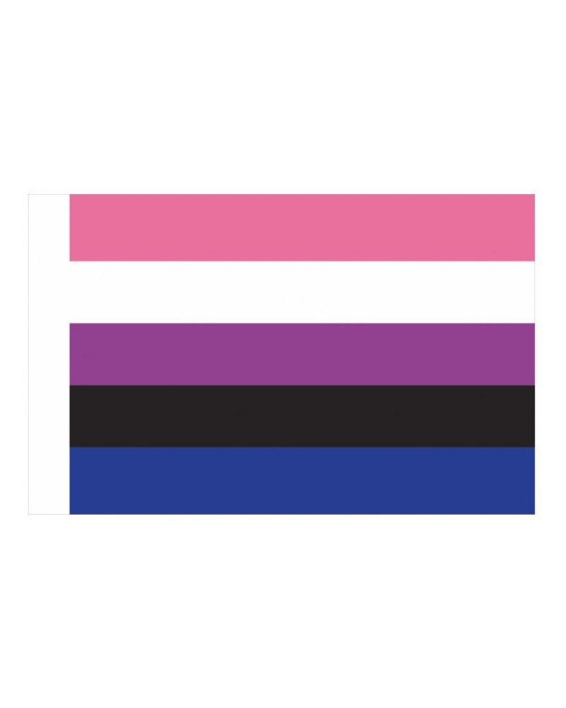 Drapeau Genderfluid 60 x 90cm 