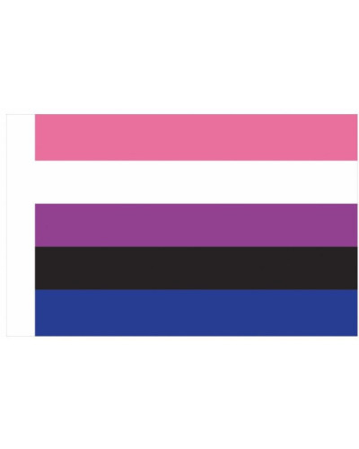 Drapeau Genderfluid 90 x 150cm 