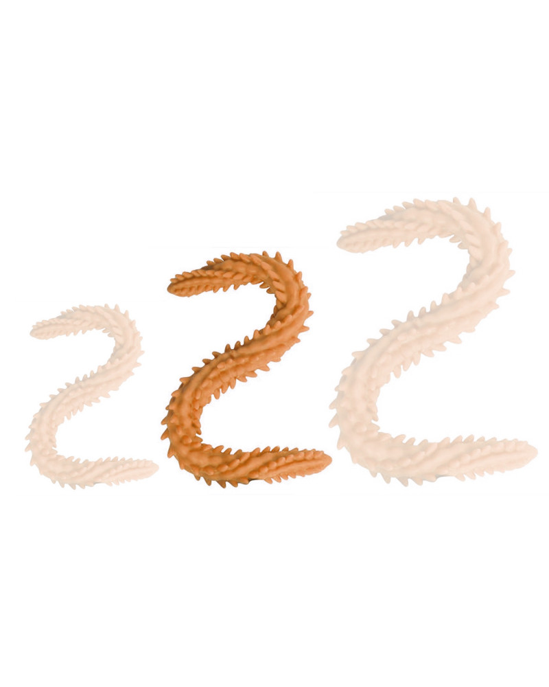 Double gode Scolop M 50 x 4cm Orange 