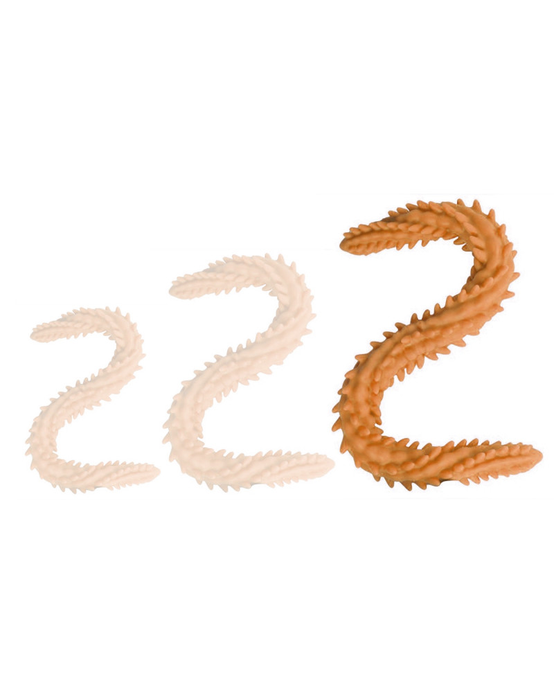 Double Gode Scolop L 60 x 5cm Orange 