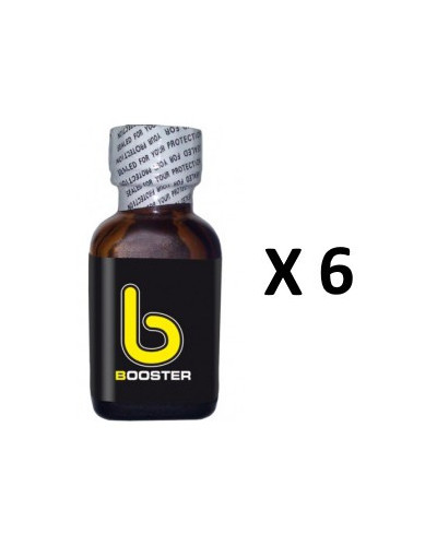 Booster 25mL x6 
