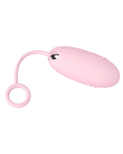 Oeufs Vibrants 