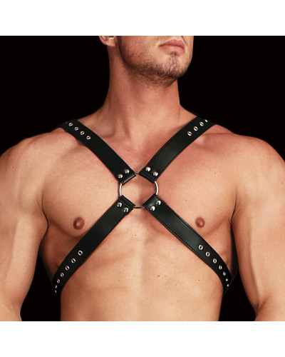 Harnais Adonis Forme X 