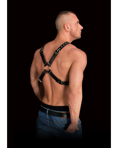 Harnais Adonis Forme X 
