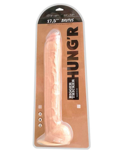 Gode Brutus Hungr 37 x 6.8cm 