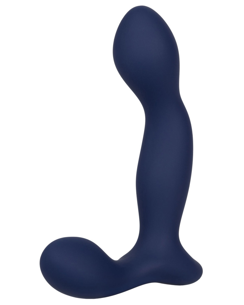 Stimulateur de prostate Expert Probe Viceroy 10 x 2.5cm 