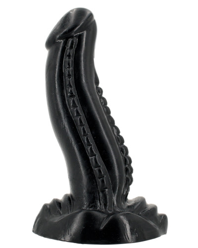 LOCH ASS 17 x 5 cm 