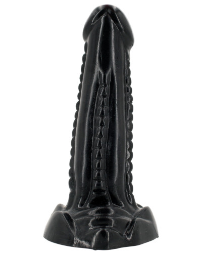 LOCH ASS 17 x 5 cm 