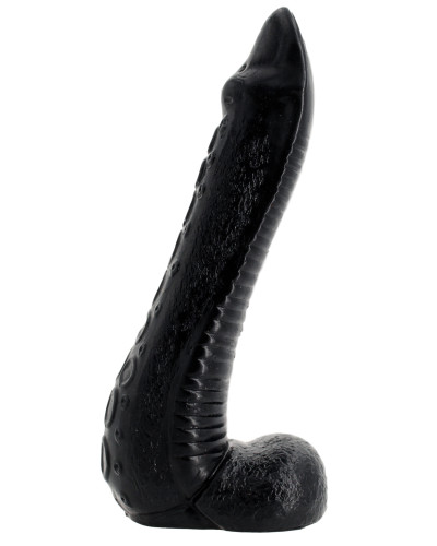 NAUTILA 19 x 5.8 cm 