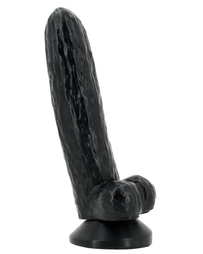 CUCUMDICK 16 x 4 cm 