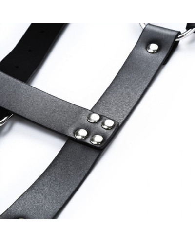 Harnais CHEST BELT Noir 
