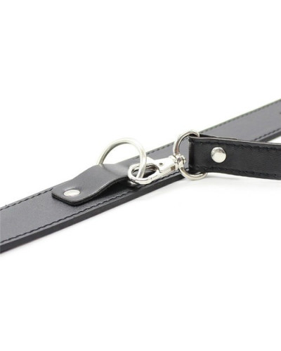 Collier Laisse Premium 