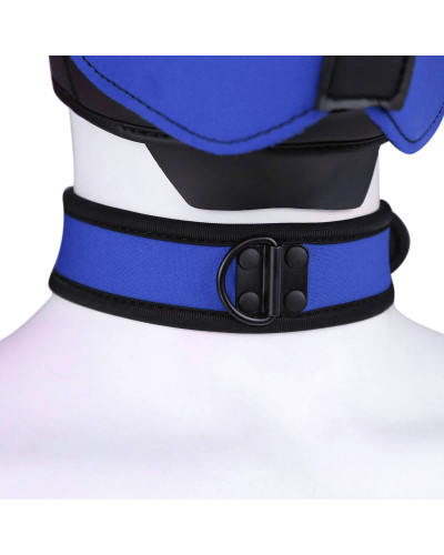 Collier en néoprène Bleu 