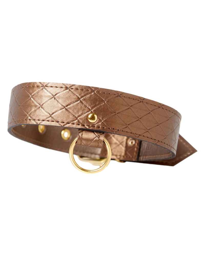 Collier et laisse Darling Pet Bronze 1m 