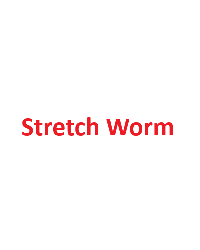 Stretch Worm